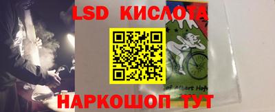 прущие грибы Комсомольск-на-Амуре