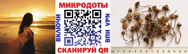 где купить наркоту  Керчь  Псилоцибиновые грибы прущие грибы 