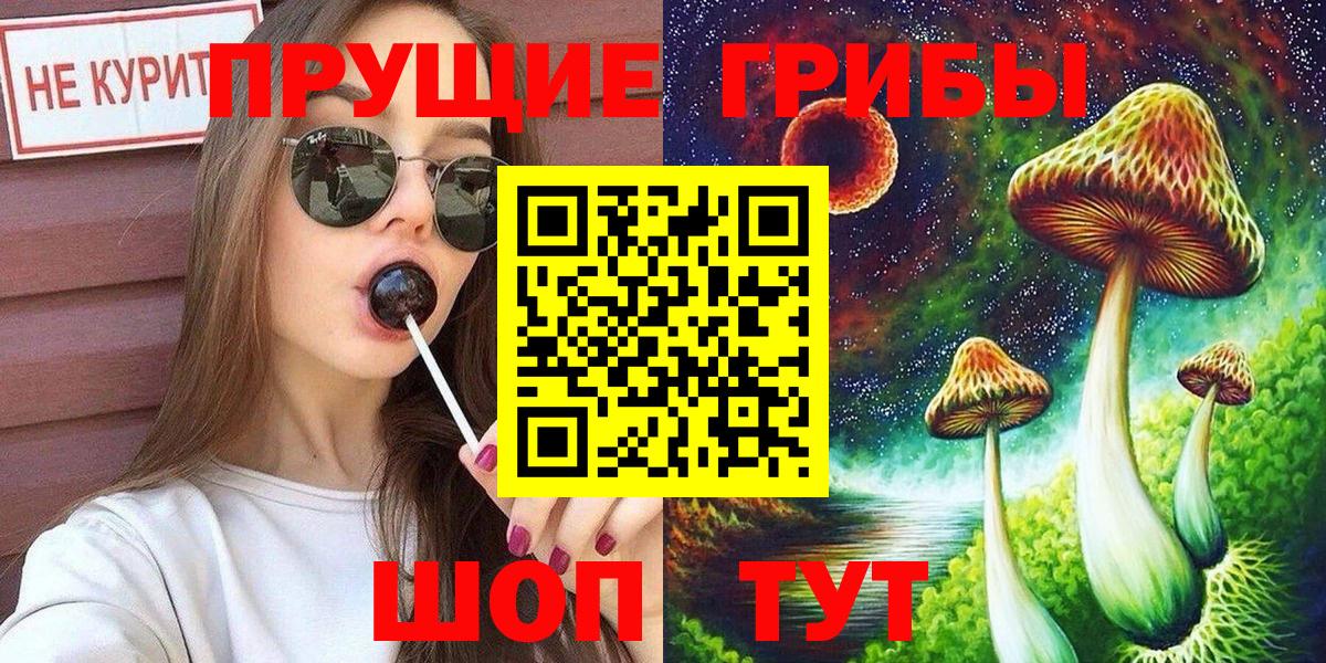 Керчь  Псилоцибиновые грибы Psilocybe  Вход с VPN 